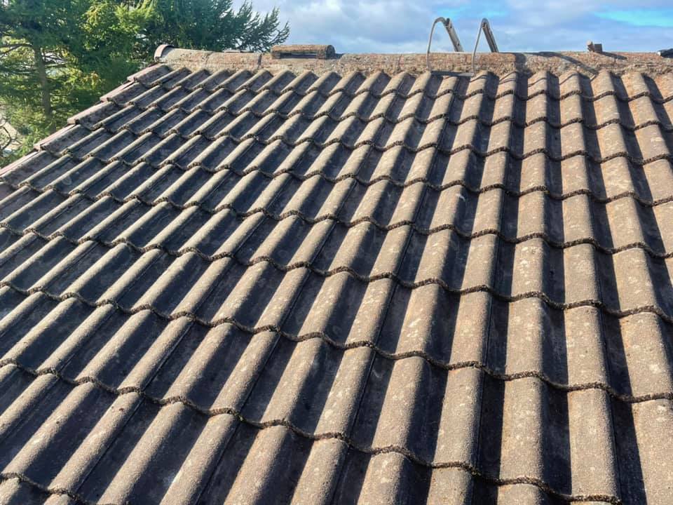 Tiled roof deep cleaning and moss removal